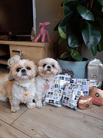 PRE-ORDER - Adventskalender hond