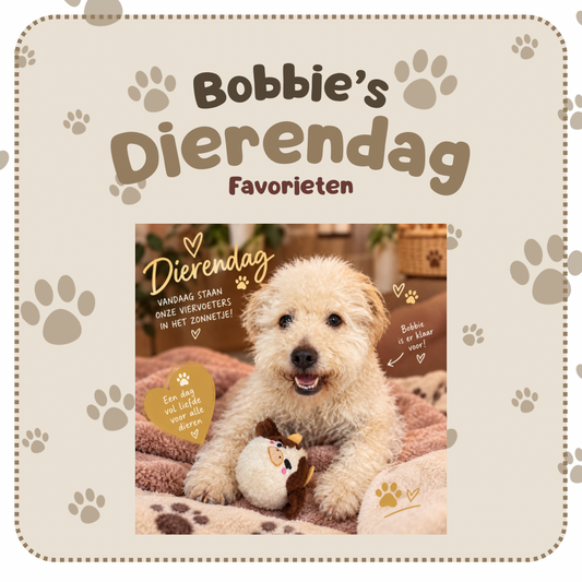 Bobbie’s dierendag favorieten - gouden dierendag box