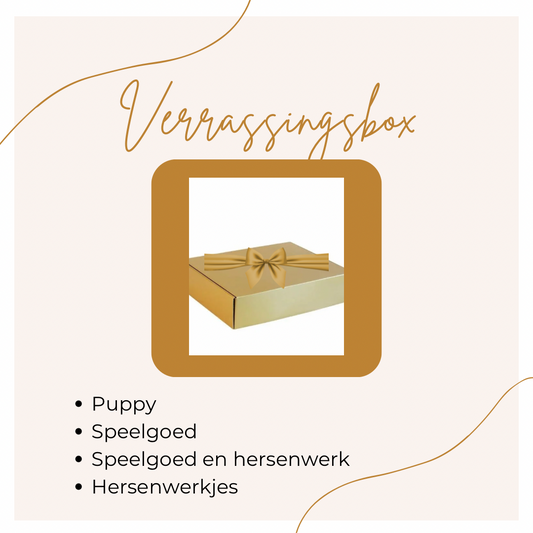 Verrassingsbox voor je hond