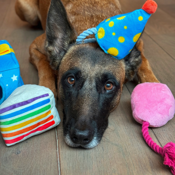 Hondenspeelgoed - PawStory - Snuffles Festive Party Box