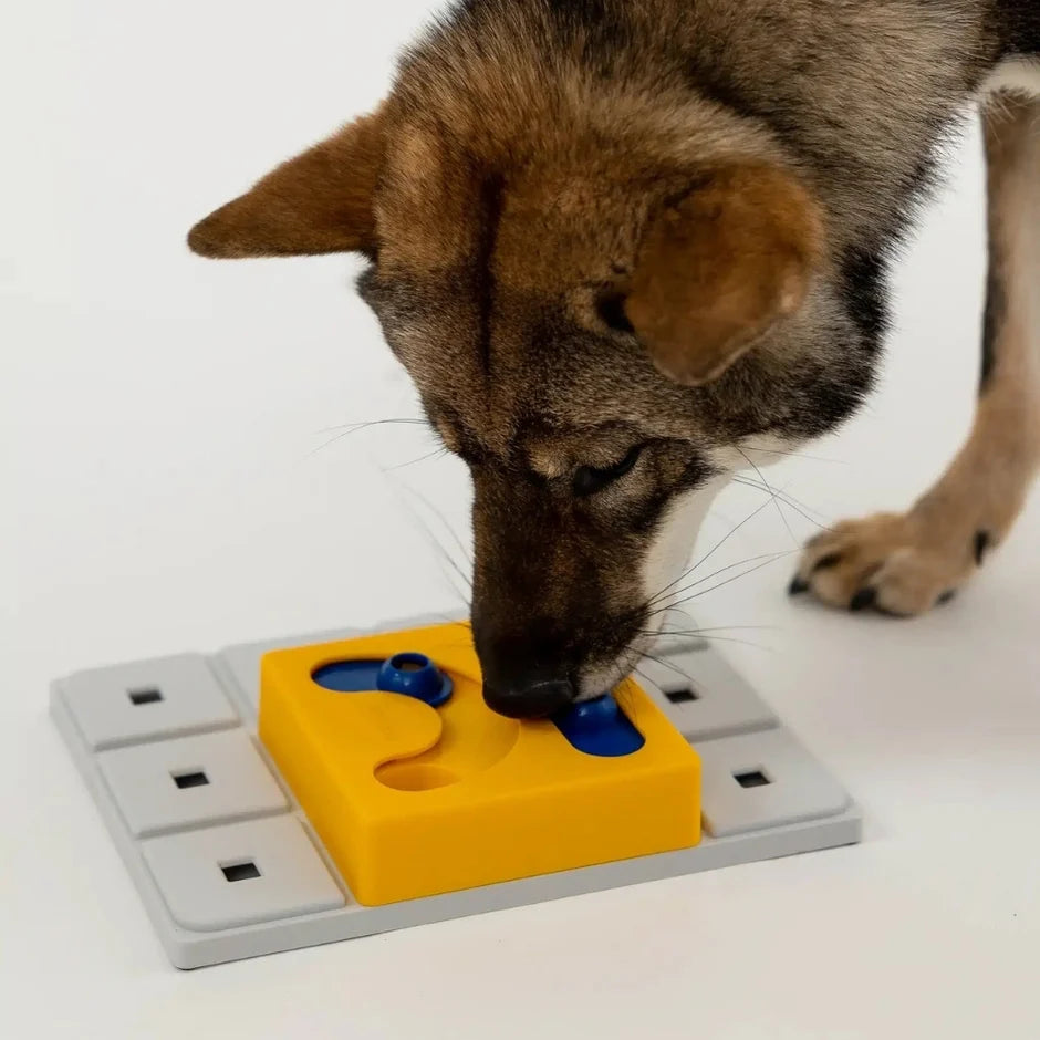 Honden puzzels - Pawzler - Kaya