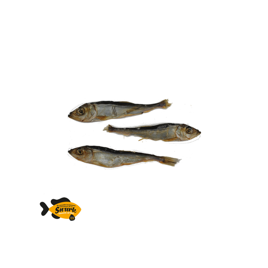 Hondensnack - Haring - 100 gram