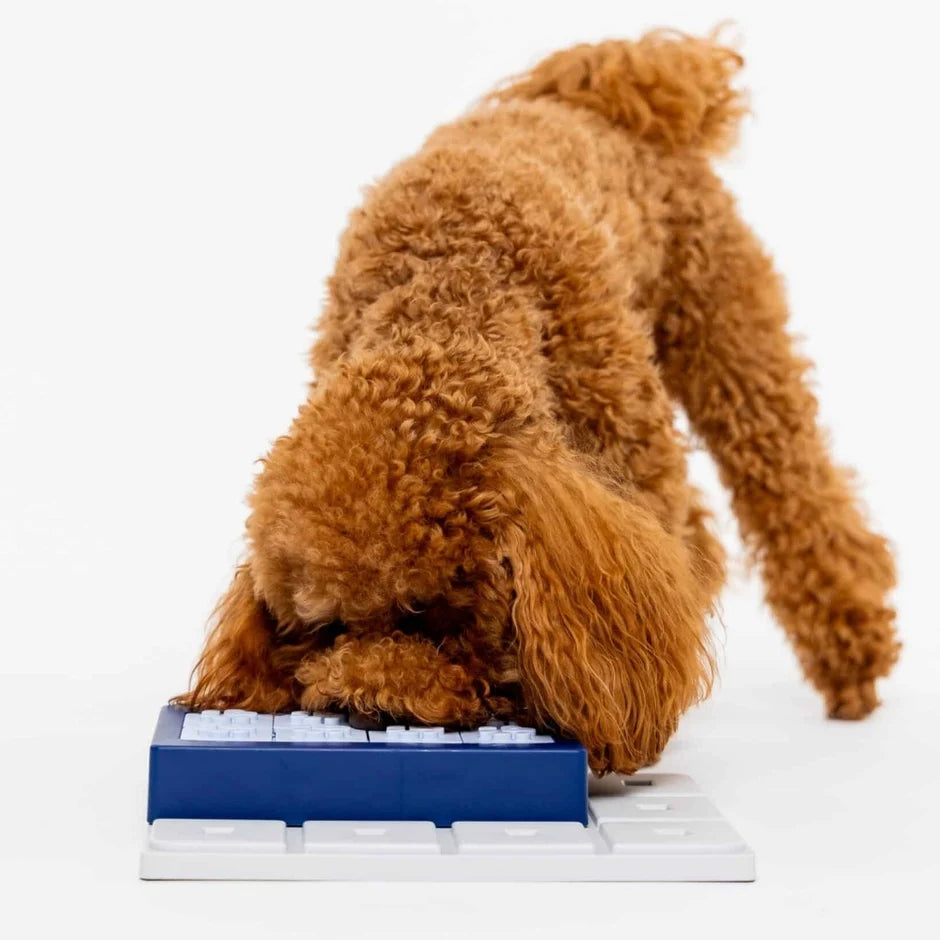 Honden puzzels -  Pawzler - Louvre