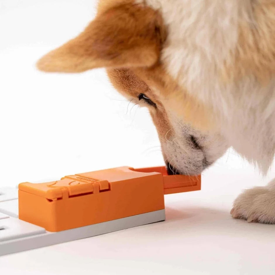 Honden puzzels - Pawzler - Maya
