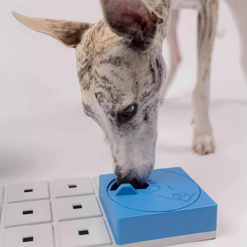 Honden puzzels - Pawzler - Oli