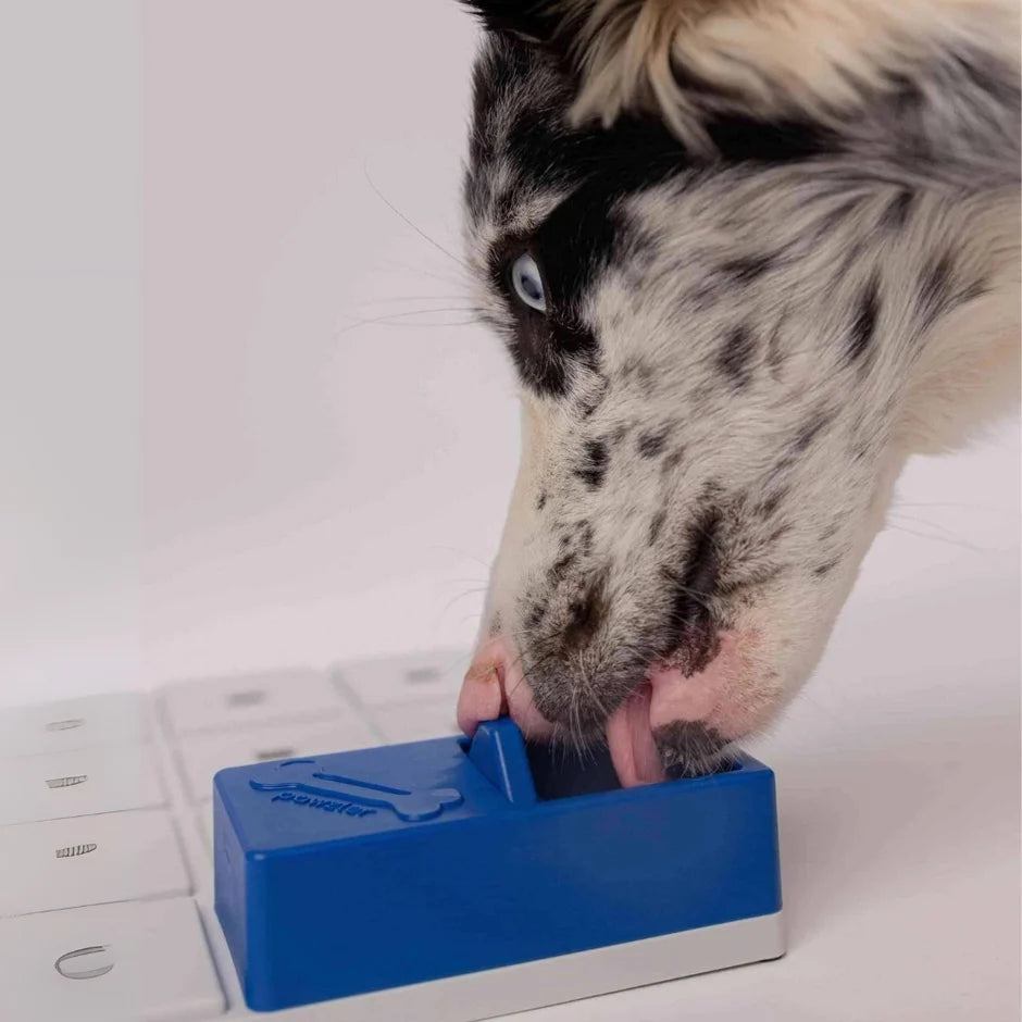 Honden puzzels - Pawzler - Onix