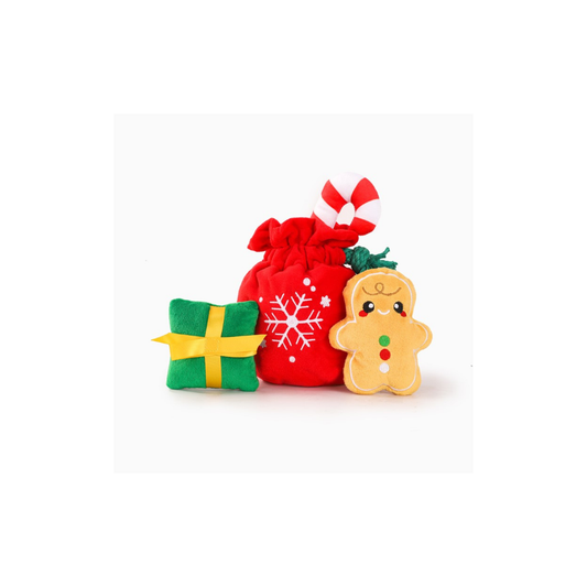 Kerst hondenspeelgoed - Happy Woofmas - Christmas Gift Bag