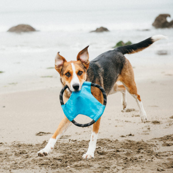 Rope Gliderz - Zippy Paws - blauw