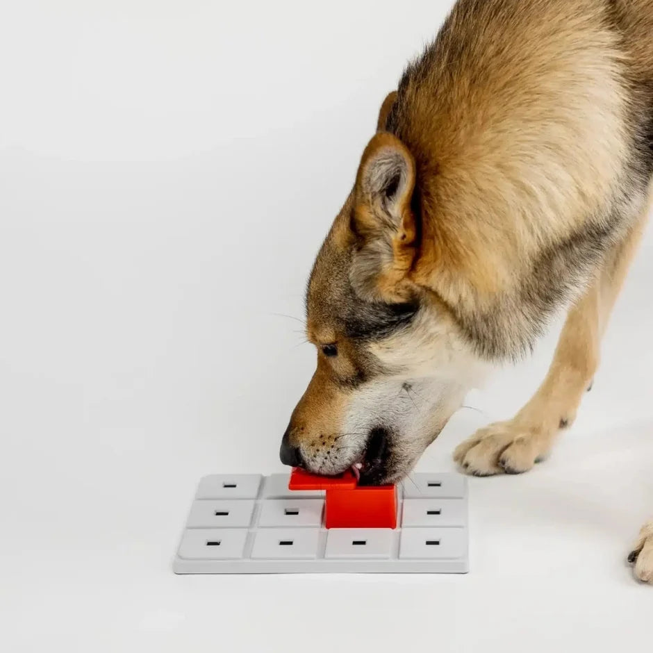 Honden puzzels - Pawzler - Peach