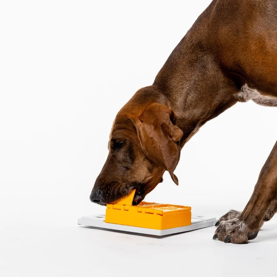 Honden puzzels - Pawzler - Piper
