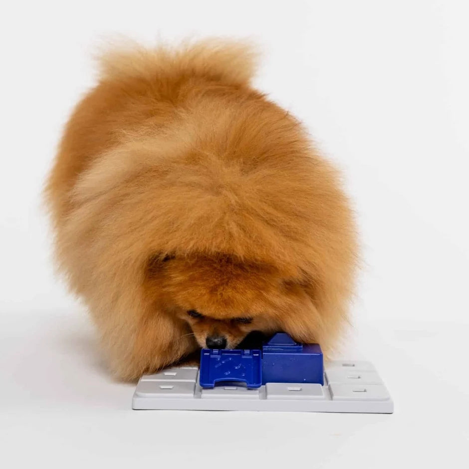 Honden puzzels - Pawzler - Sela