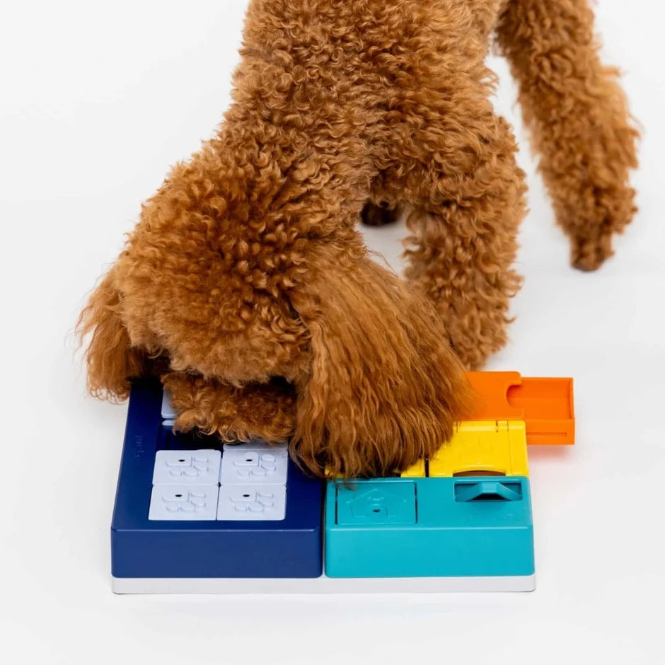 Honden puzzels - Pawzler - Smarty Set