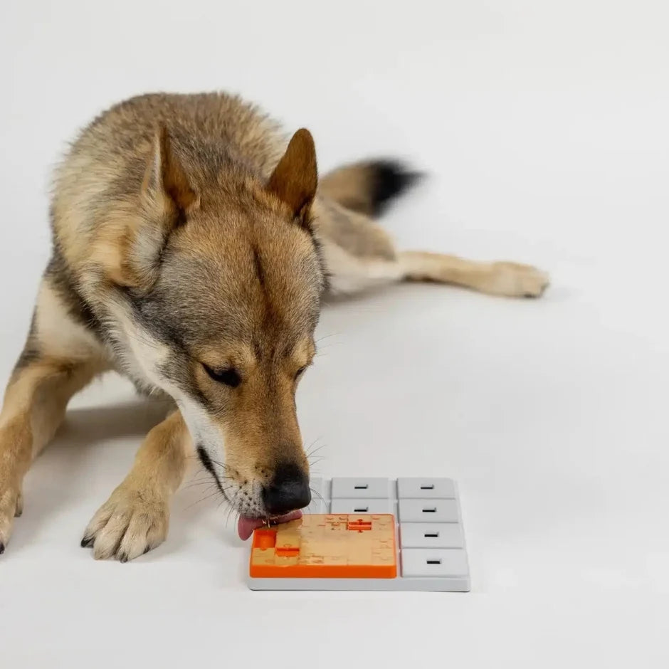 Honden puzzels - Pawzler - Terra