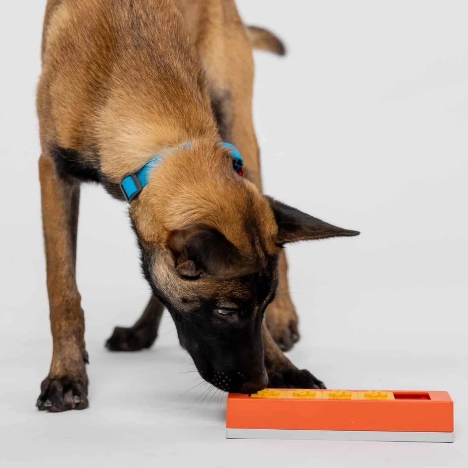 Honden puzzels - Pawzler - Zhu