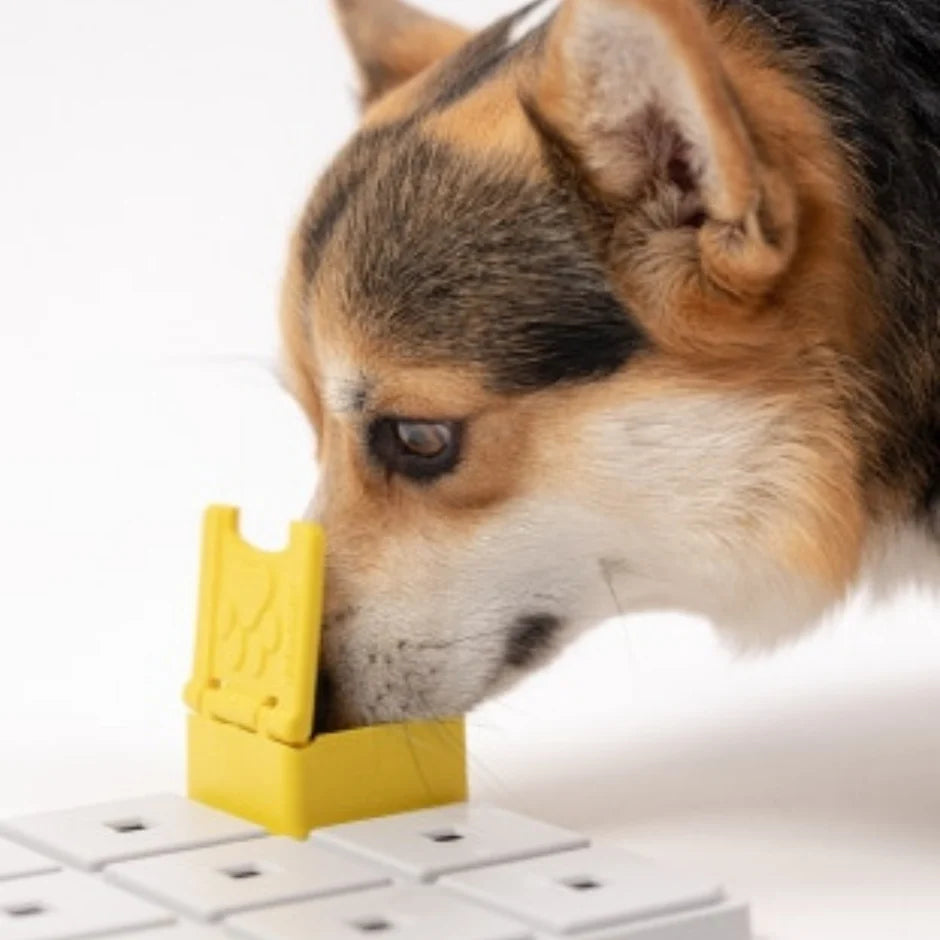 Honden puzzels - Pawzler - Zoey