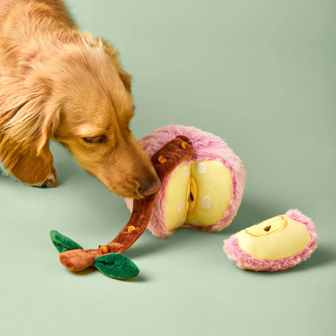 Snuffelspeelgoed voor honden - Foggy dog - Appel