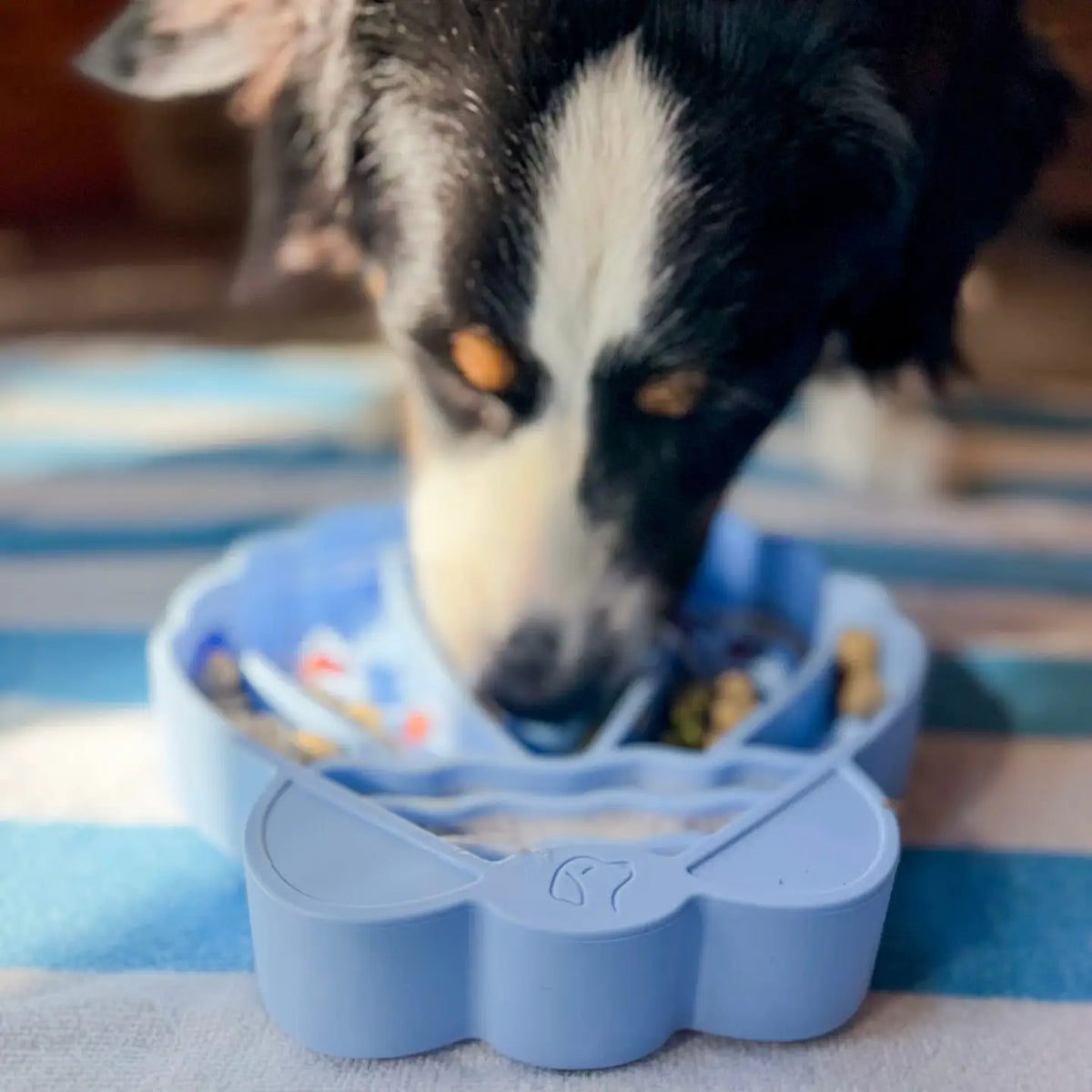 Slowfeeder voor honden - Pawsome tails - Schelp