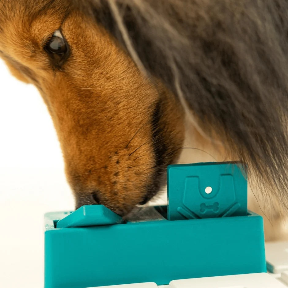 Honden puzzels - Pawzler - Nai