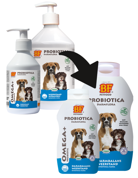 Probiotica voor honden - BF PetFood - OMEGA+ Probiotica