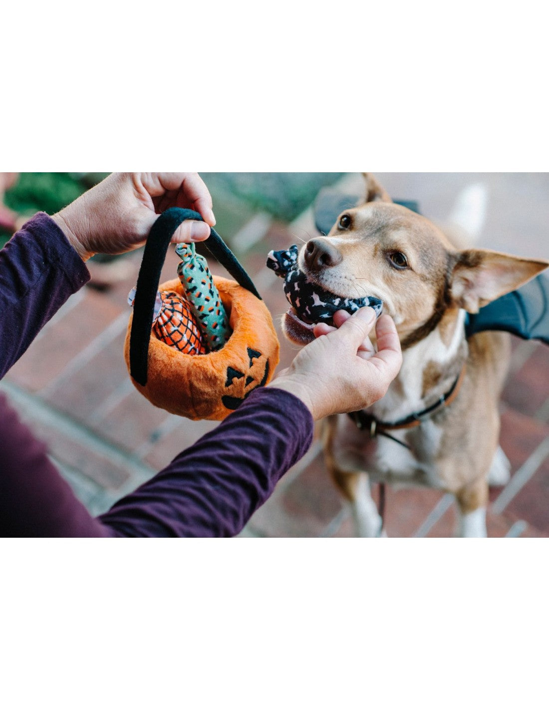 Hondenspeelgoed - PLAY - Halloween Pumpkin Basket