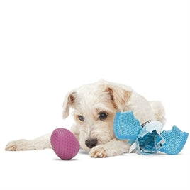 Sterk hondenspeelgoed - BARK - Brrrtha The Dragon Super Chewer